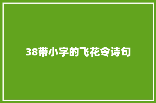 38带小字的飞花令诗句