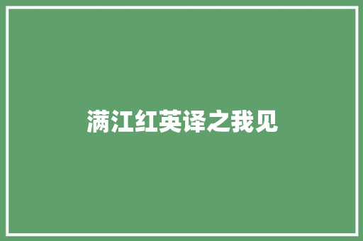 满江红英译之我见