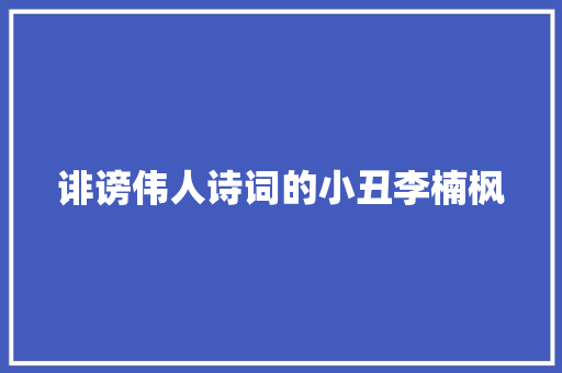 诽谤伟人诗词的小丑李楠枫
