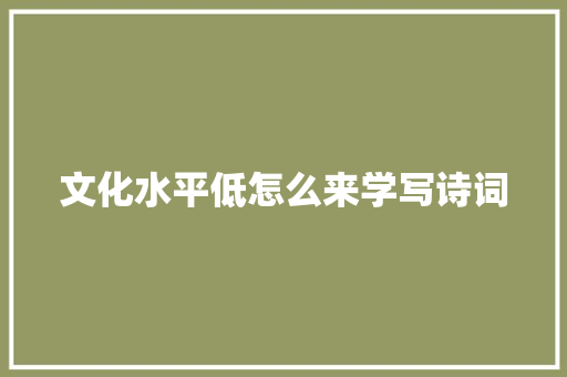 文化水平低怎么来学写诗词