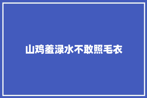山鸡羞渌水不敢照毛衣
