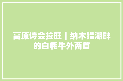 高原诗会拉旺｜纳木错湖畔的白牦牛外两首