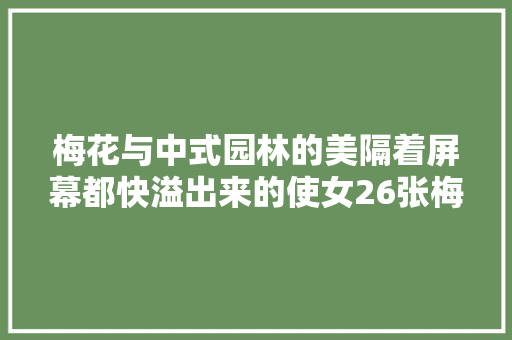梅花与中式园林的美隔着屏幕都快溢出来的使女26张梅花壁纸