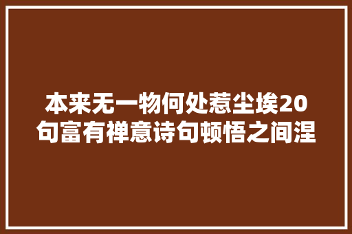本来无一物何处惹尘埃20句富有禅意诗句顿悟之间涅槃更生