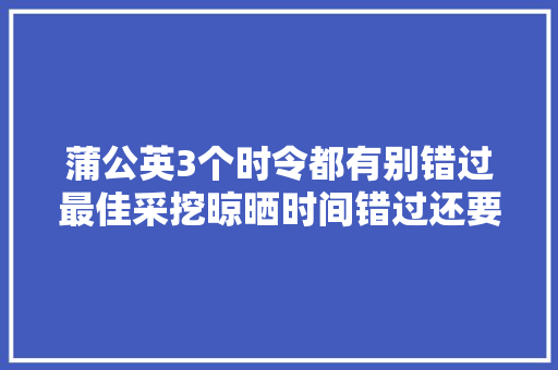 蒲公英3个时令都有别错过最佳采挖晾晒时间错过还要等一年