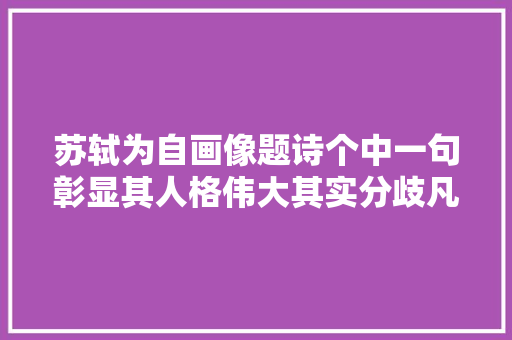 苏轼为自画像题诗个中一句彰显其人格伟大其实分歧凡响