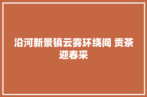 沿河新景镇云雾环绕间 贡茶迎春采