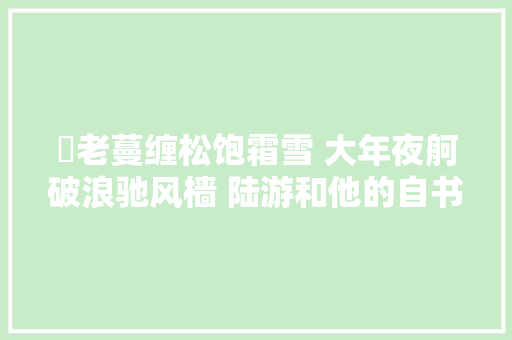 ​老蔓缠松饱霜雪 大年夜舸破浪驰风樯 陆游和他的自书诗卷