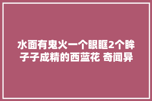 水面有鬼火一个眼眶2个眸子子成精的西蓝花 奇闻异事