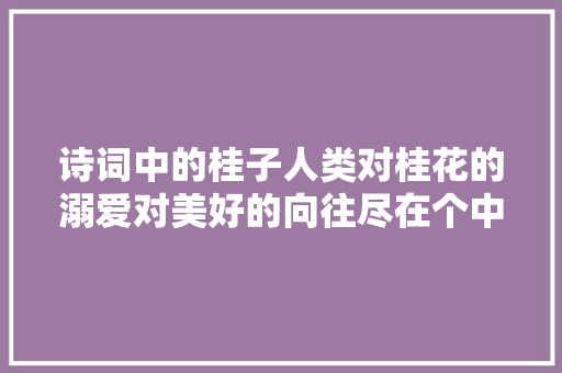 诗词中的桂子人类对桂花的溺爱对美好的向往尽在个中