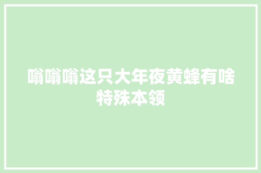 嗡嗡嗡这只大年夜黄蜂有啥特殊本领