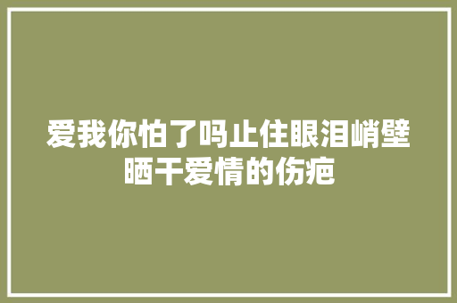 爱我你怕了吗止住眼泪峭壁晒干爱情的伤疤