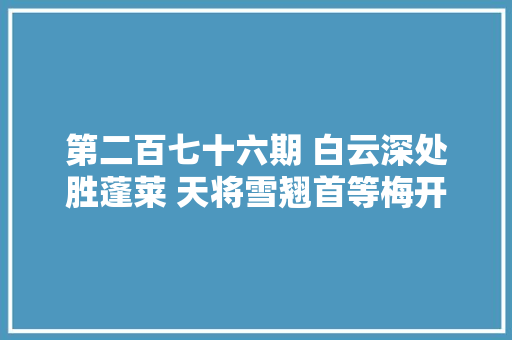第二百七十六期 白云深处胜蓬莱 天将雪翘首等梅开