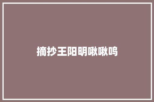 摘抄王阳明啾啾鸣
