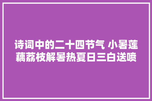 诗词中的二十四节气 小暑莲藕荔枝解暑热夏日三白送喷鼻香来
