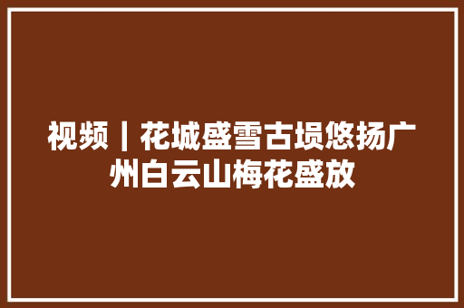 视频｜花城盛雪古埙悠扬广州白云山梅花盛放