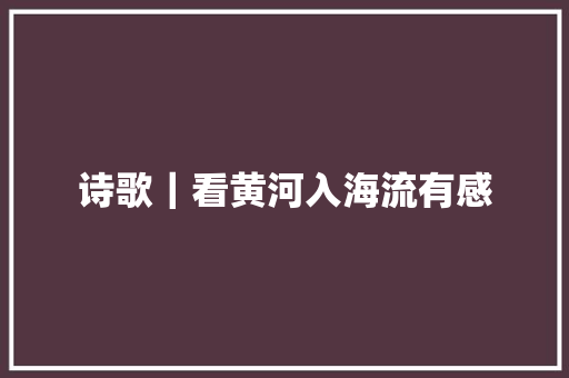 诗歌｜看黄河入海流有感