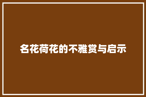 名花荷花的不雅赏与启示