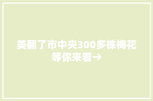 美翻了市中央300多株梅花等你来看→