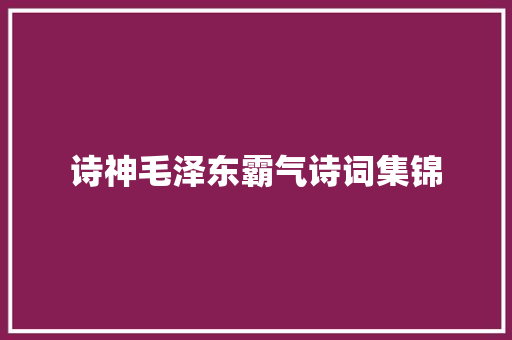 诗神毛泽东霸气诗词集锦