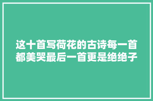 这十首写荷花的古诗每一首都美哭最后一首更是绝绝子