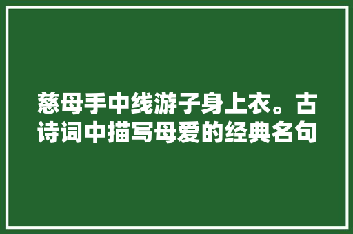 慈母手中线游子身上衣。古诗词中描写母爱的经典名句赏析