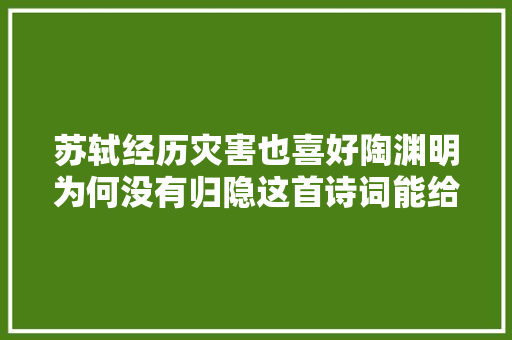苏轼经历灾害也喜好陶渊明为何没有归隐这首诗词能给你谜底