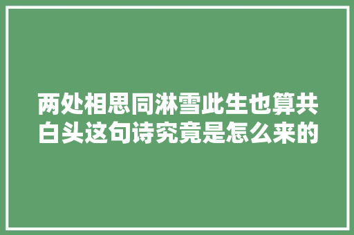 两处相思同淋雪此生也算共白头这句诗究竟是怎么来的