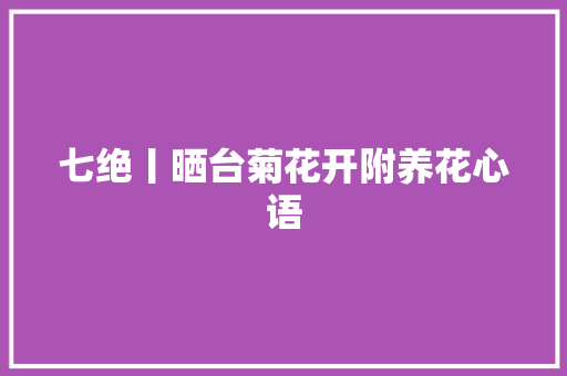 七绝丨晒台菊花开附养花心语