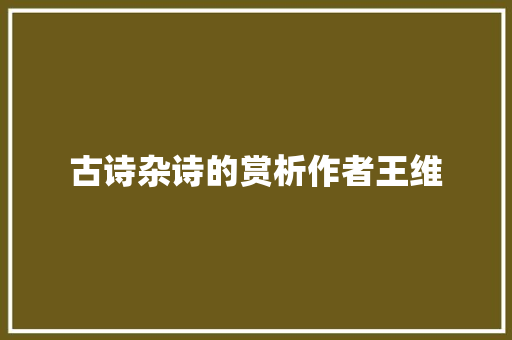 古诗杂诗的赏析作者王维