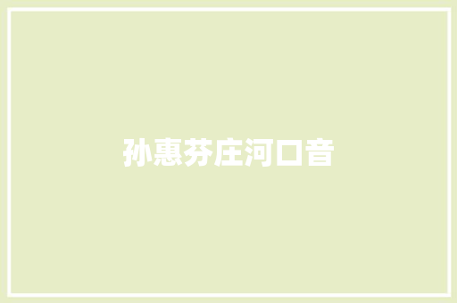 孙惠芬庄河口音