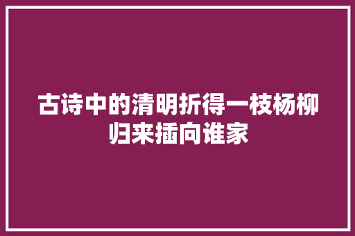 古诗中的清明折得一枝杨柳归来插向谁家