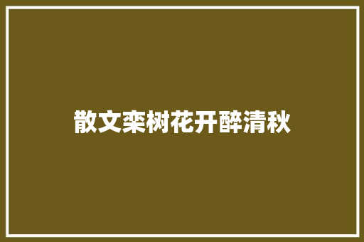散文栾树花开醉清秋