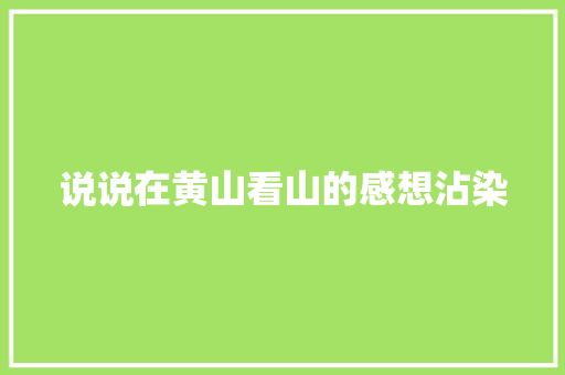 说说在黄山看山的感想沾染