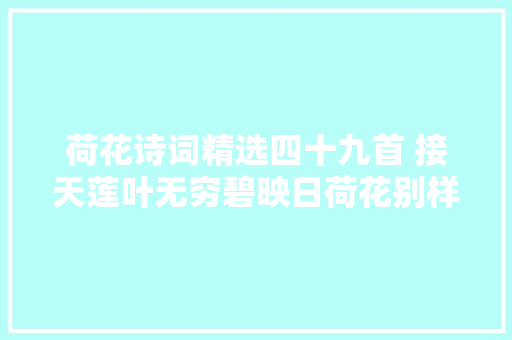 荷花诗词精选四十九首 接天莲叶无穷碧映日荷花别样红
