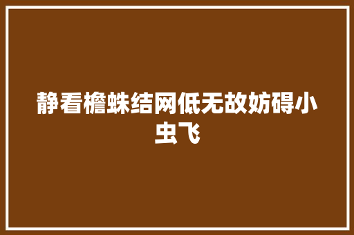 静看檐蛛结网低无故妨碍小虫飞