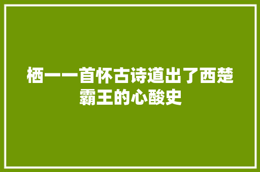 栖一一首怀古诗道出了西楚霸王的心酸史
