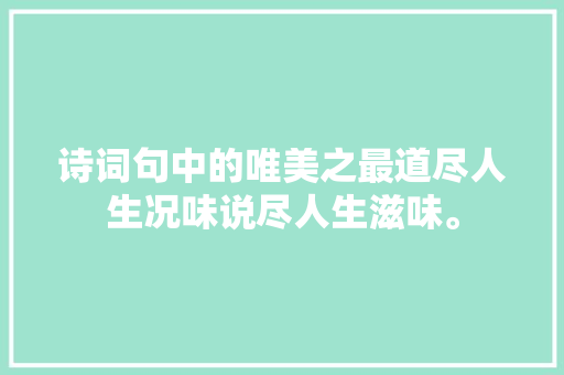 诗词句中的唯美之最道尽人生况味说尽人生滋味。