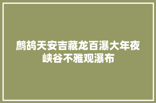 鹧鸪天安吉藏龙百瀑大年夜峡谷不雅观瀑布