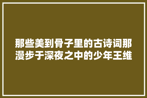 那些美到骨子里的古诗词那漫步于深夜之中的少年王维