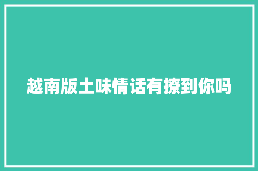 越南版土味情话有撩到你吗