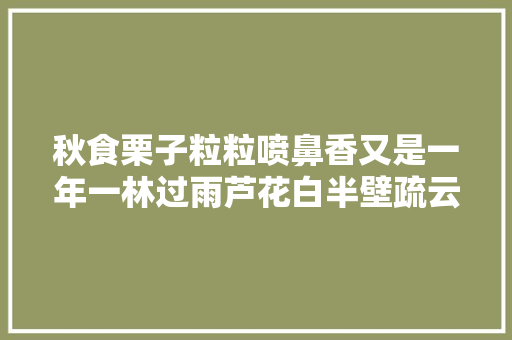 秋食栗子粒粒喷鼻香又是一年一林过雨芦花白半壁疏云栗子黄