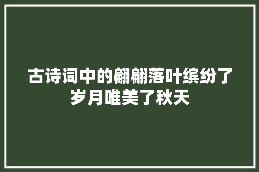 古诗词中的翩翩落叶缤纷了岁月唯美了秋天