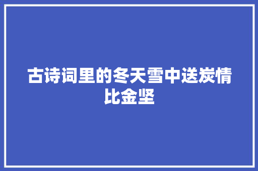 古诗词里的冬天雪中送炭情比金坚