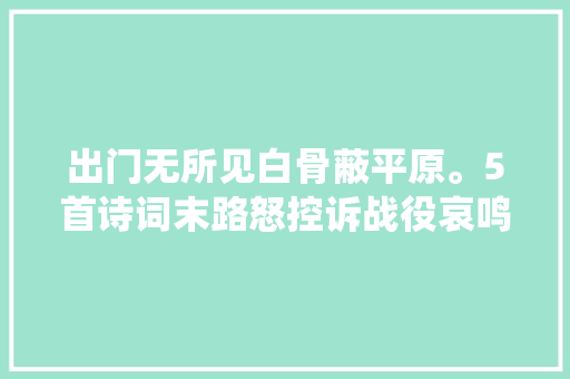 出门无所见白骨蔽平原。5首诗词末路怒控诉战役哀鸣苍生