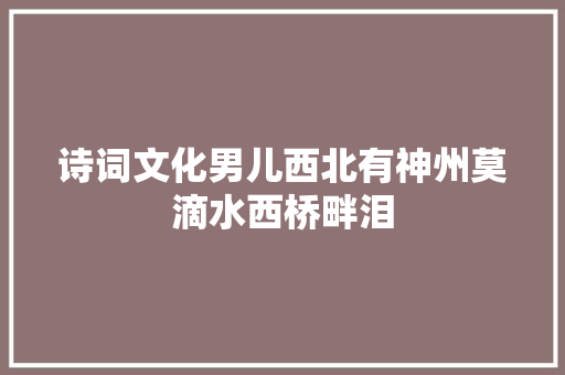 诗词文化男儿西北有神州莫滴水西桥畔泪