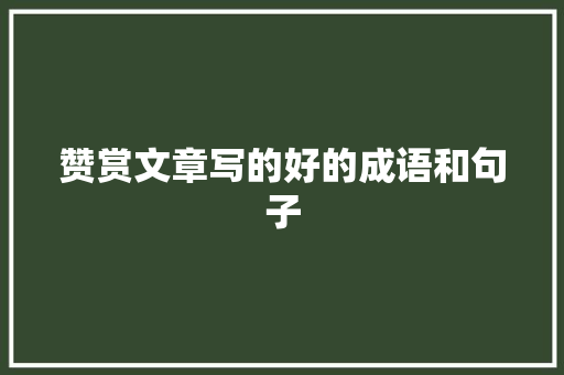 赞赏文章写的好的成语和句子