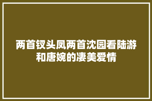 两首钗头凤两首沈园看陆游和唐婉的凄美爱情