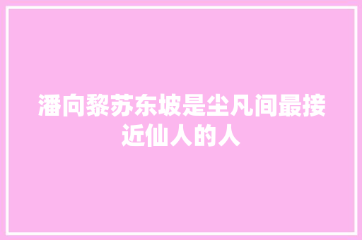 潘向黎苏东坡是尘凡间最接近仙人的人