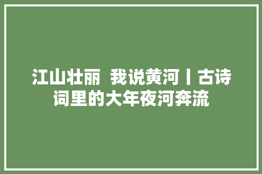 江山壮丽  我说黄河丨古诗词里的大年夜河奔流